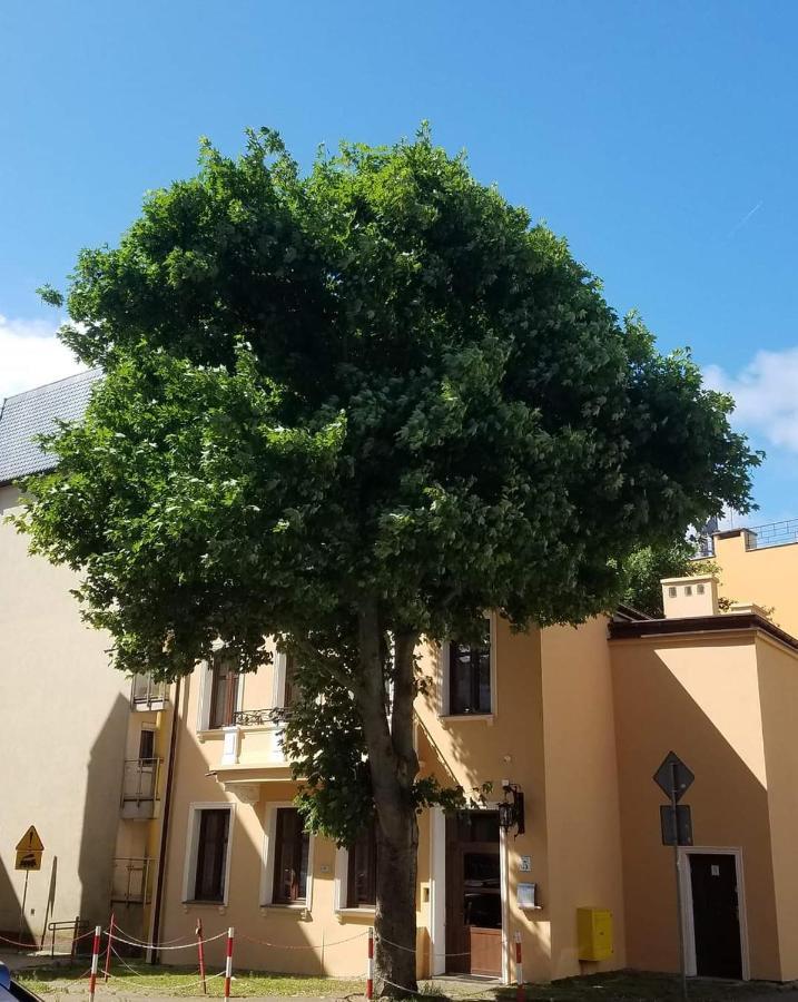 Apartamenty Na Cichej 5 A3 Kolobrzeg Dış mekan fotoğraf